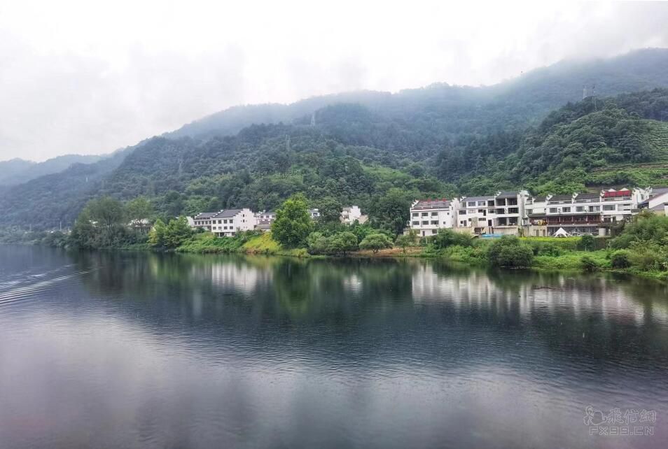 网传东北雨姐视频造假塌房